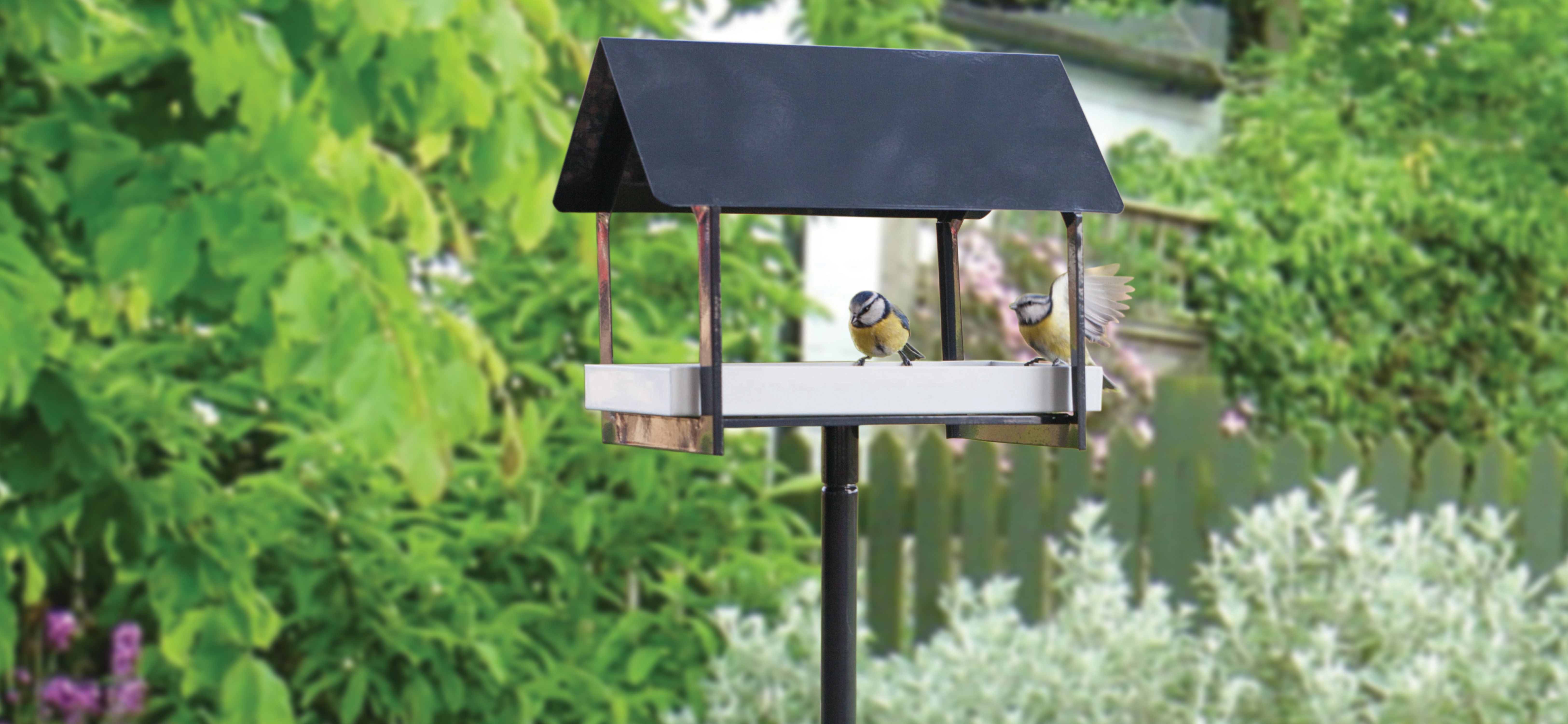 Myslím na ptáky